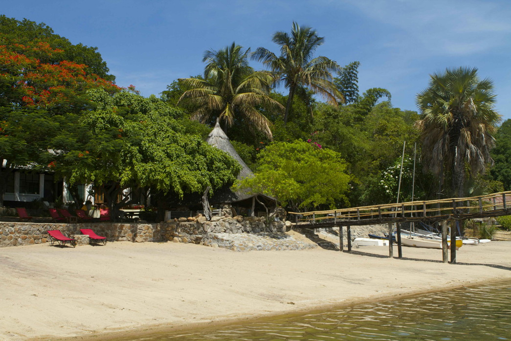 The bar is set amidst lush trees overlooking the beach and pier