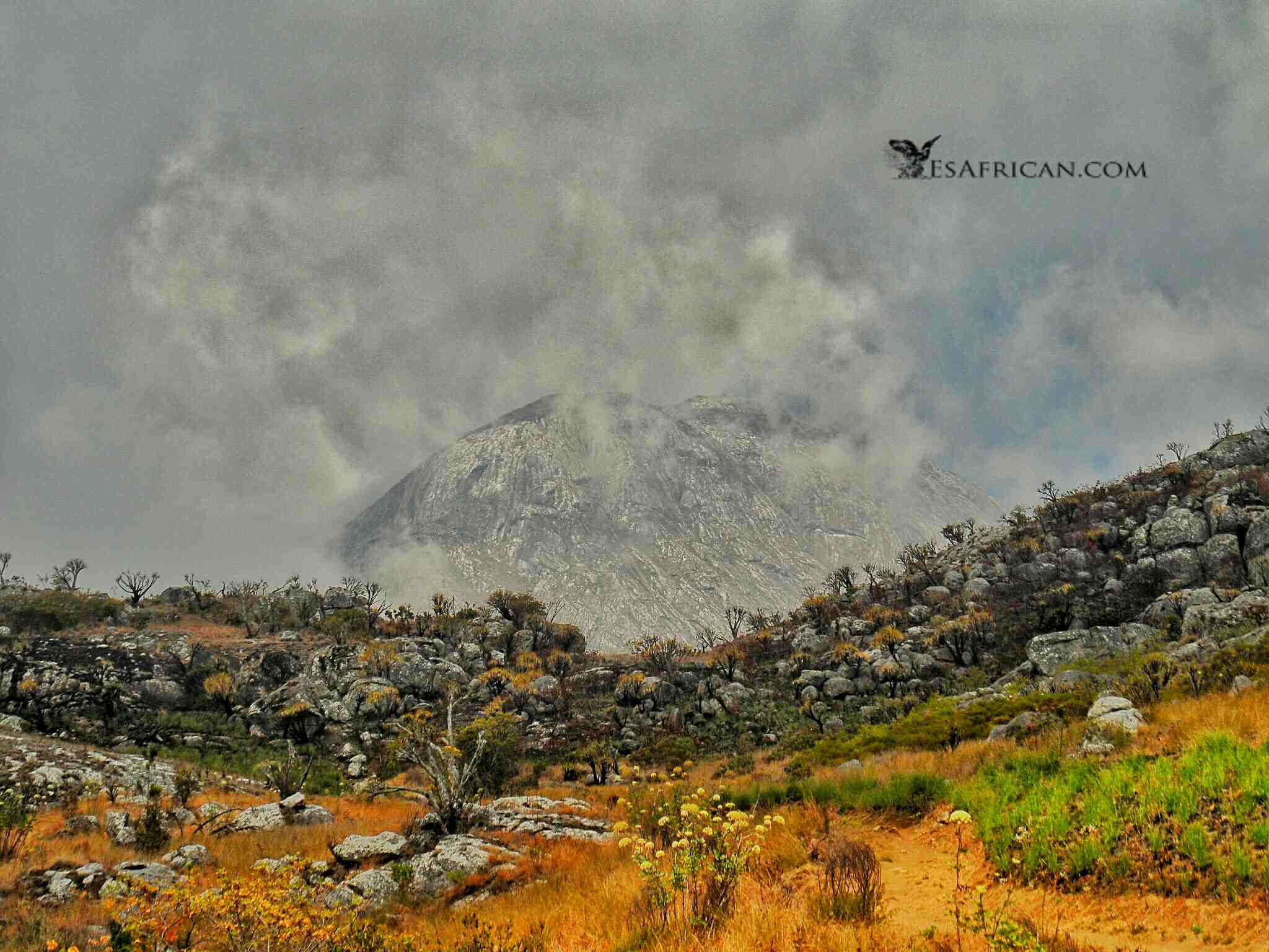 North Peak from Plateau on Mulanje