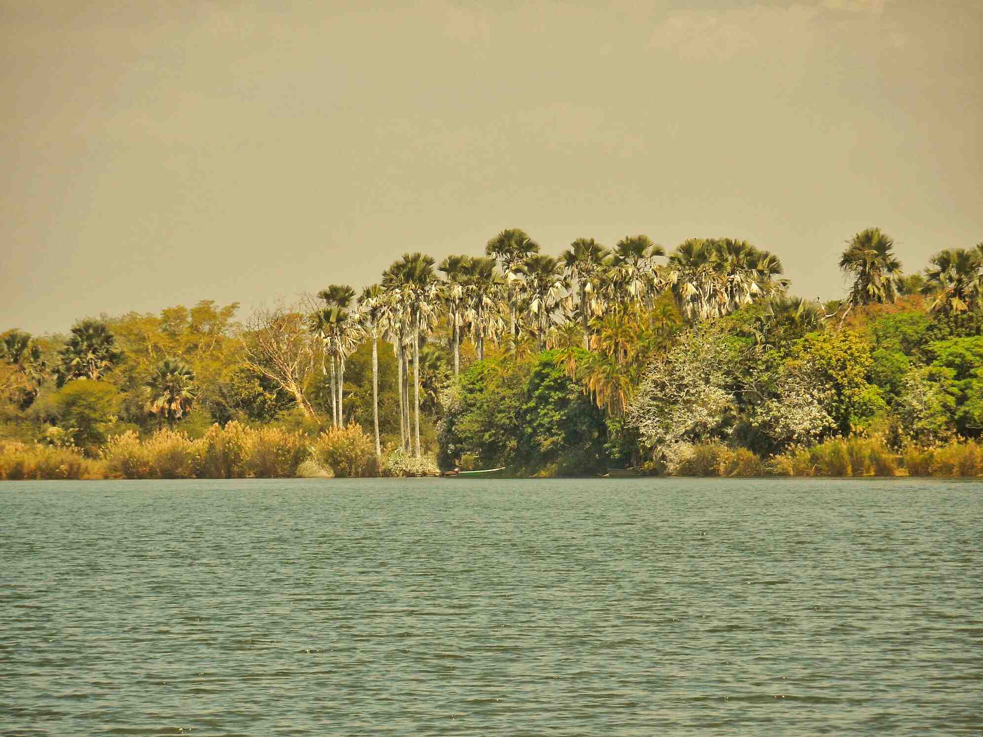 The Shire River in Liwonde National Park