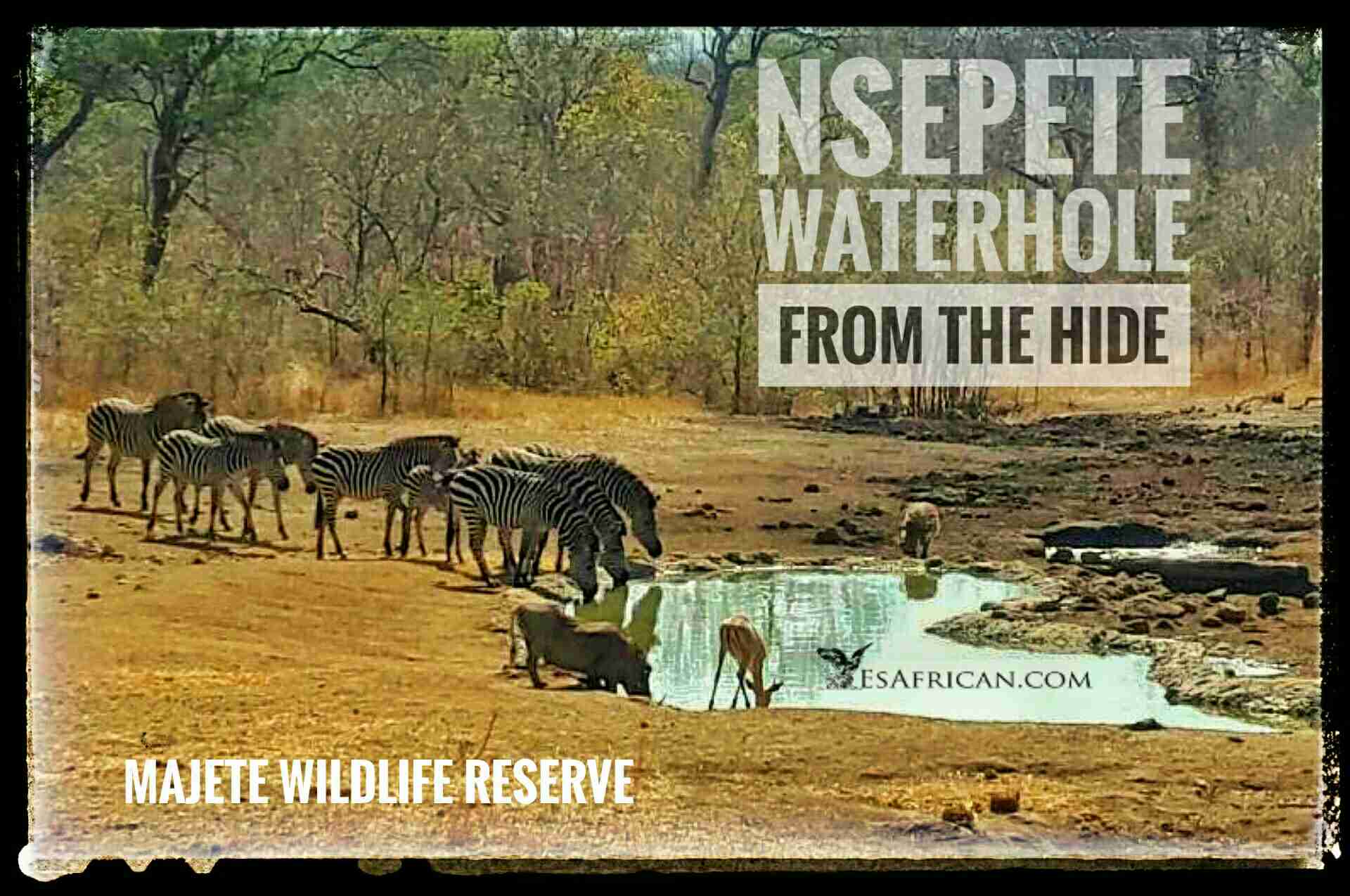 Nsepete Waterhole and Hide Majete Wildlife Reserve